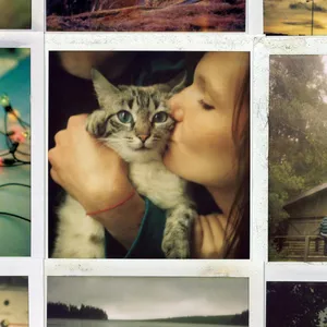 My friends all died in a plane crass